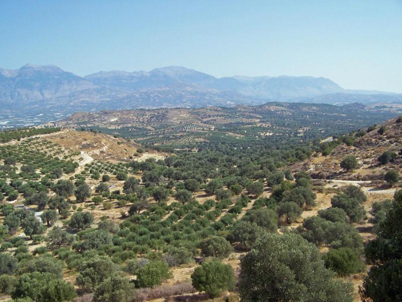 קלמאקי Villas Alexandros חדר תמונה
